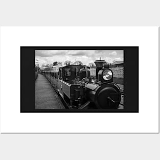 Small steam locomotive coming in to the station Posters and Art